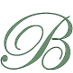 Baron Staffing logo