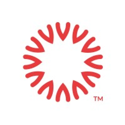 Boundless Networks logo