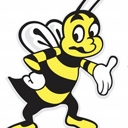 Busy Bee Car Wash logo