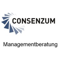 Consenzum Managementberatung UG (haftungsbeschränkt) & Co KG logo