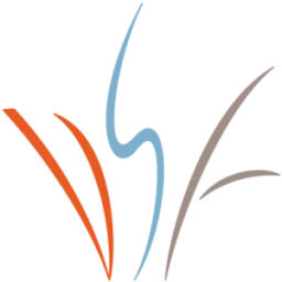 Denver Scholarship Foundation logo