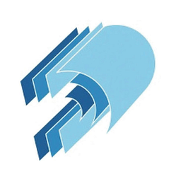 Diverse Dimensions Behavior Consult logo