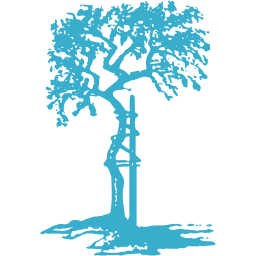 Immediate Joint Mobilization Therapy Clinic logo