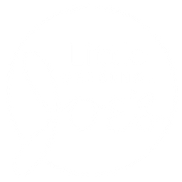 Little Joe's Mitsubishi logo