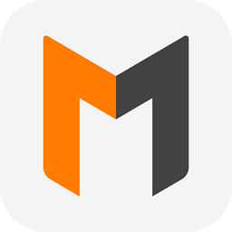 Maaß IT logo