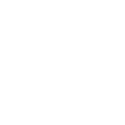 Opti Flex Therapeutics logo