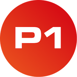 P1 Security logo