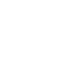 REMIS AMERICA logo