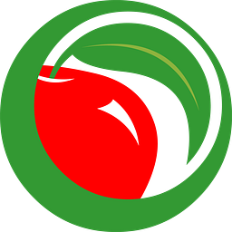 SEIS SOLAR logo
