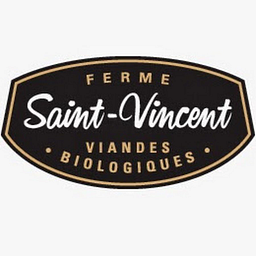 Saint Vincent Therapeutics logo