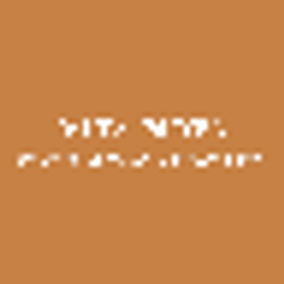 Vita Nova logo