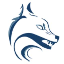 WOLF OF SEO FZ LLC logo