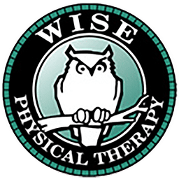 Wellness Wise Physical Therapy logo