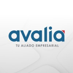avalia GmbH & Co. KG logo